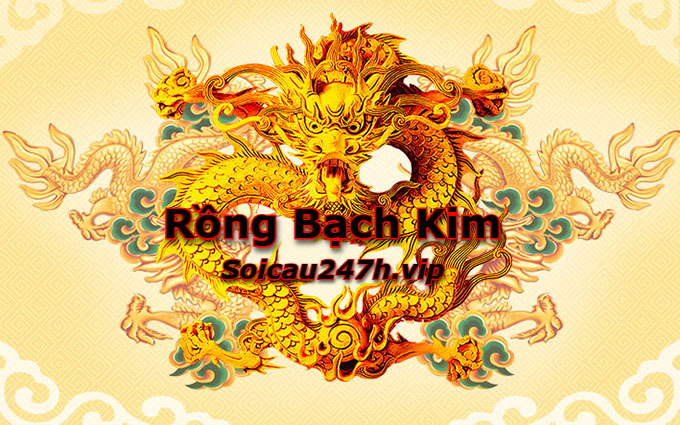 Soi cầu rồng bạch kim 247